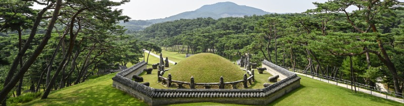 1905x500.crop01.jpg