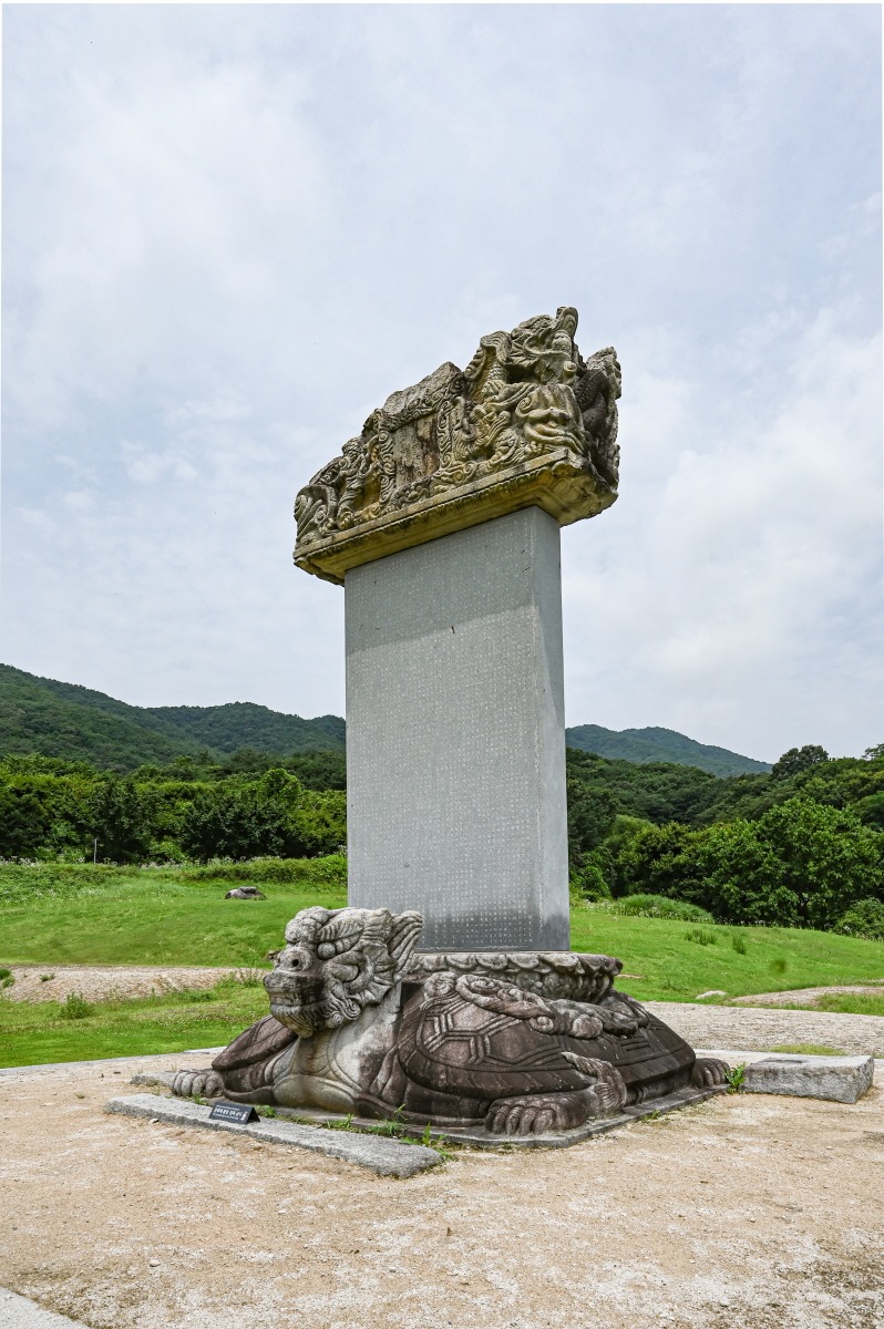 DSC_3437.jpg